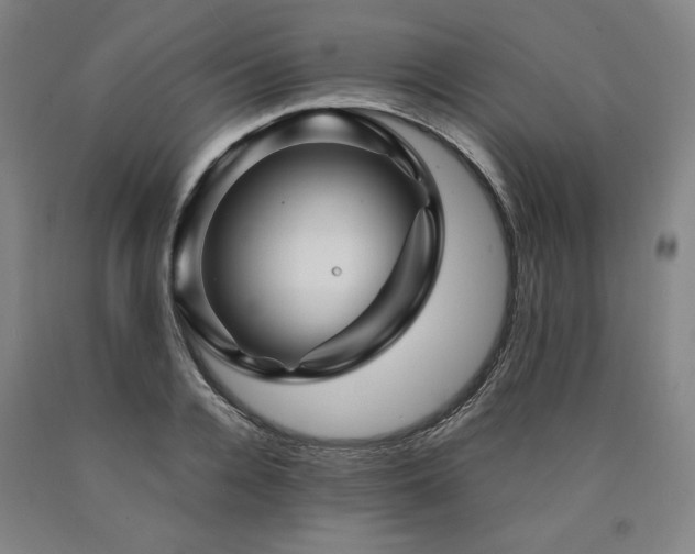 X0000090900936200707301410