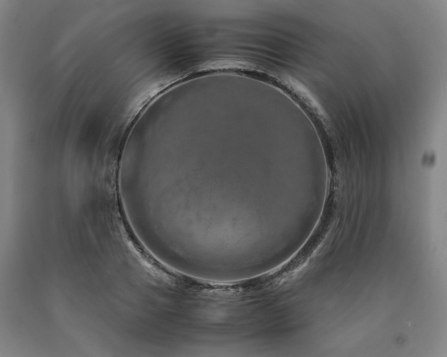 X0000090900937200707301410