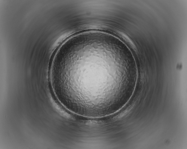 X0000090900938200707301410