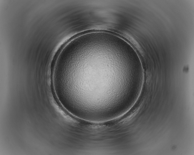 X0000090900939200707301410
