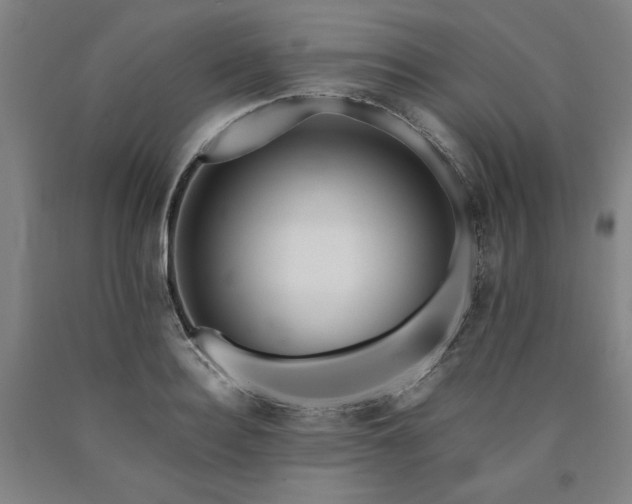 X0000090900940200707301410