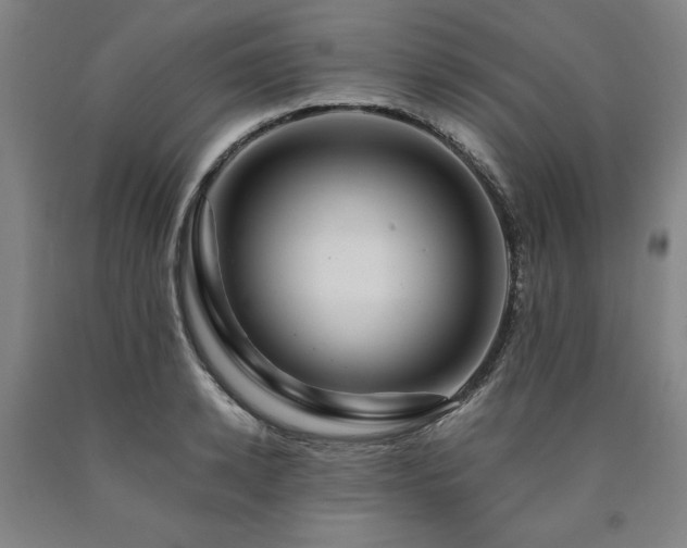 X0000090900942200707301410