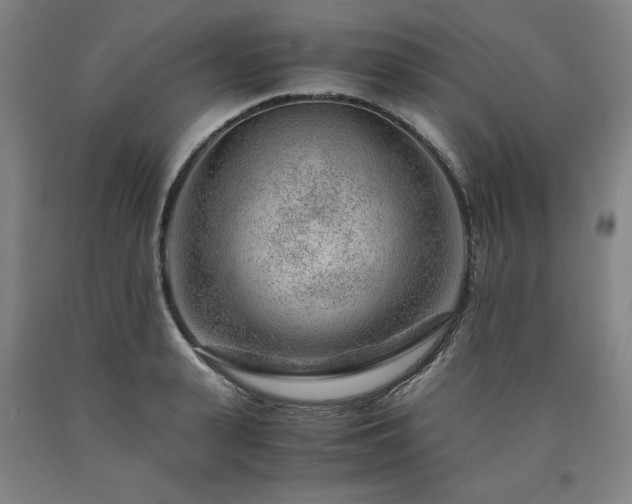 X0000090900943200707301410