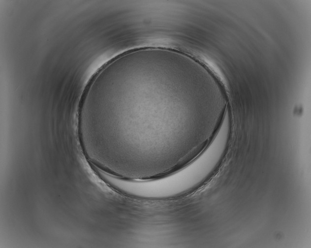 X0000090900944200707301410