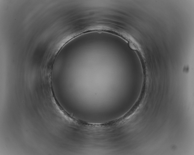 X0000090900945200707301410