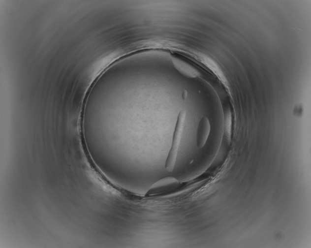 X0000090900946200707301410