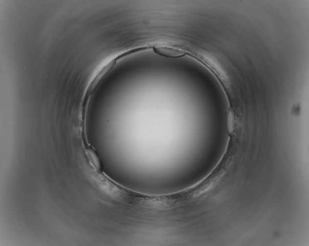 X0000090900948200707301410