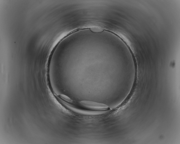 X0000090900949200707301410