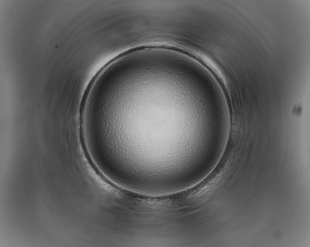 X0000090900951200707301410