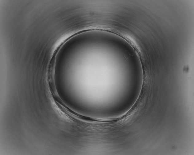 X0000090900952200707301410