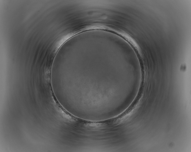 X0000090900953200707301410