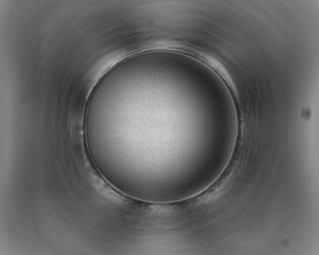 X0000090900954200707301410