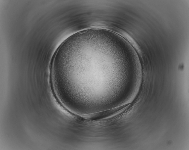 X0000090900955200707301410