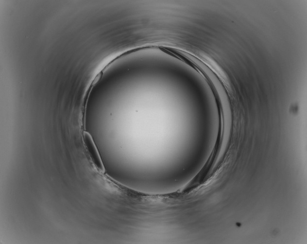 X0000090900956200707301410