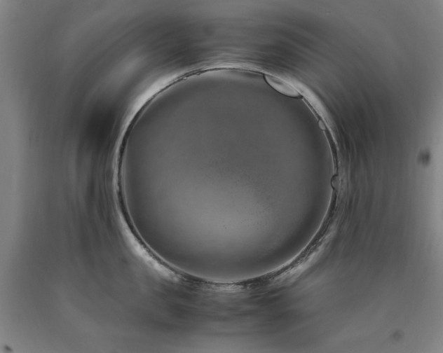 X0000090900957200707301410