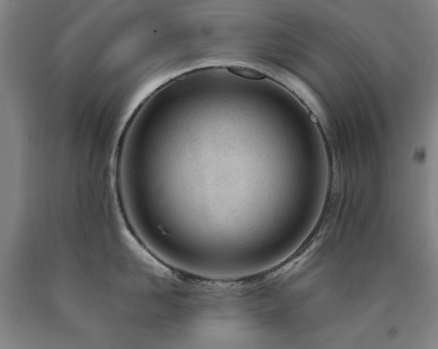 X0000090900958200707301410