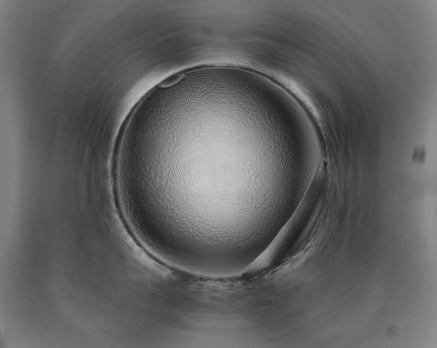 X0000090900959200707301410