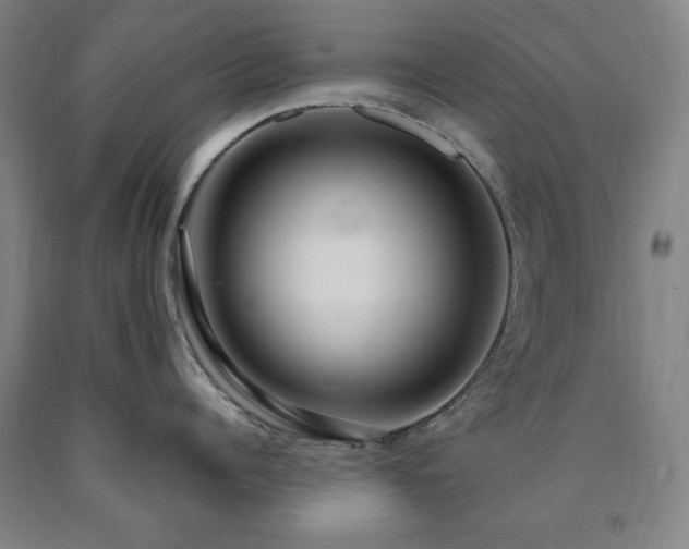 X0000090900960200707301410