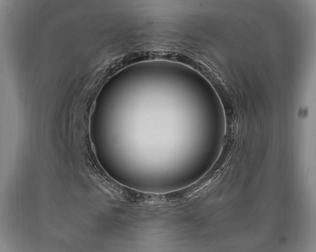 X0000090900961200707301409
