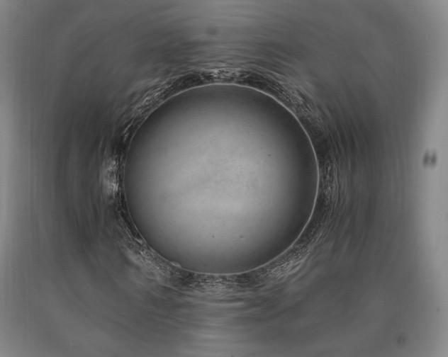 X0000090900962200707301409