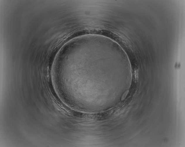 X0000090900963200707301409