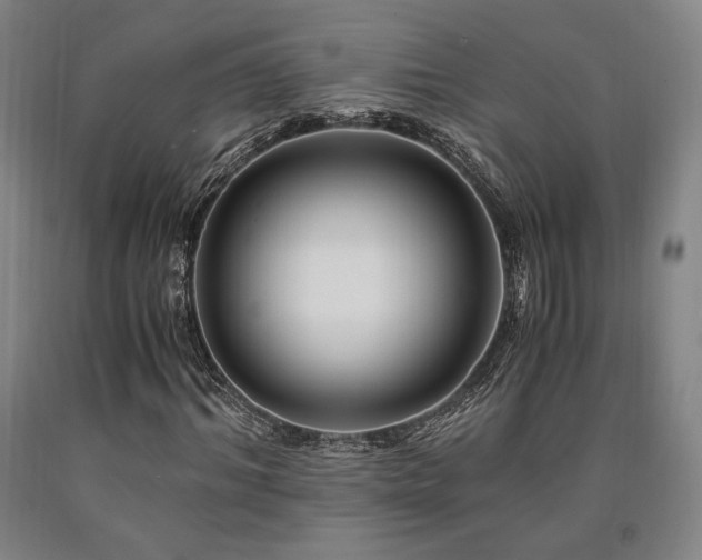 X0000090900964200707301409