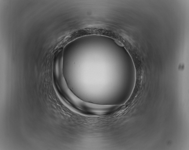 X0000090900965200707301409
