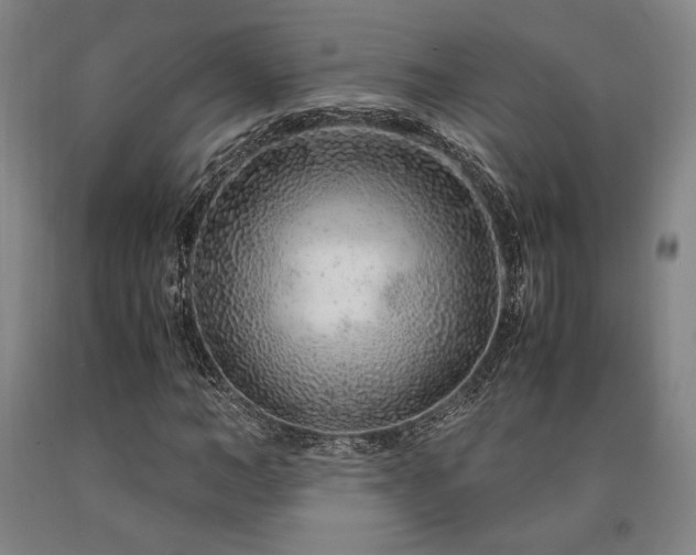 X0000090900966200707301409