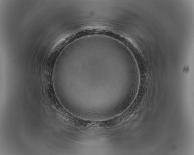 X0000090900967200707301409