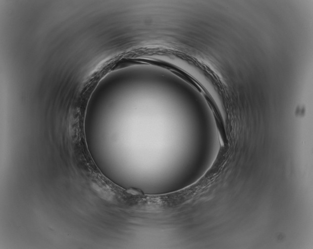 X0000090900968200707301409