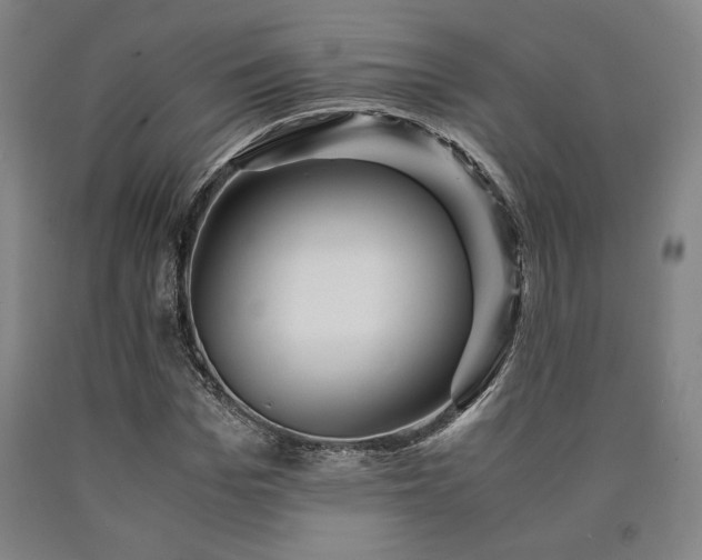 X0000090900969200707301409