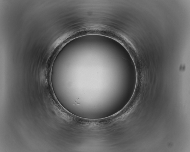 X0000090900970200707301409