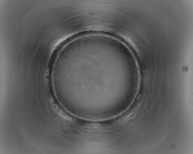 X0000090900971200707301409
