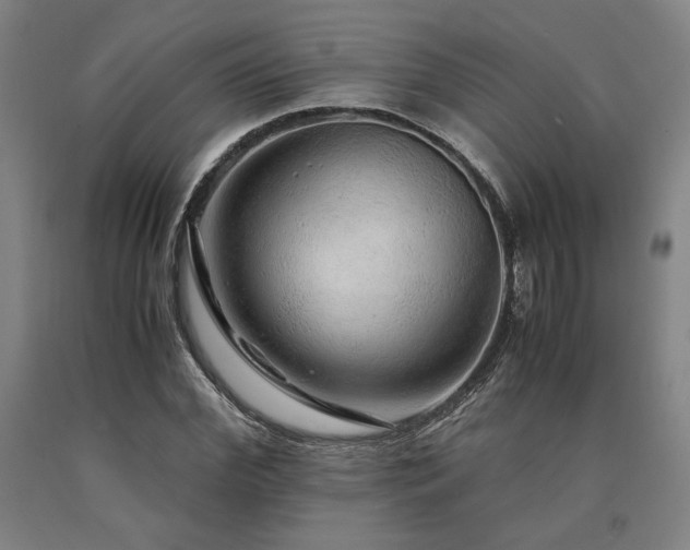 X0000090900972200707301409