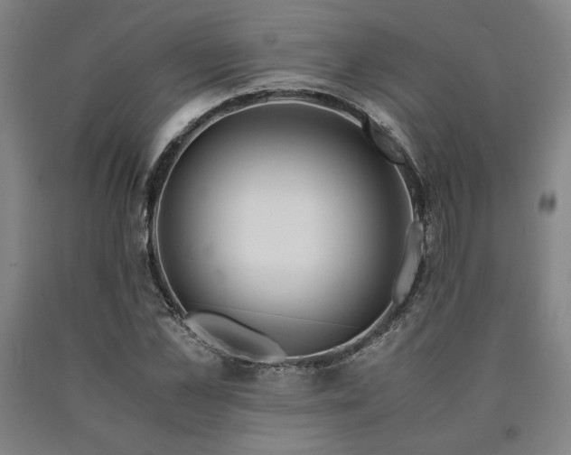 X0000090900973200707301409