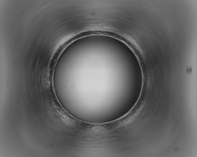 X0000090900974200707301409