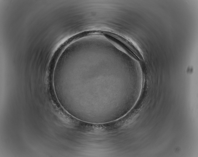 X0000090900975200707301409