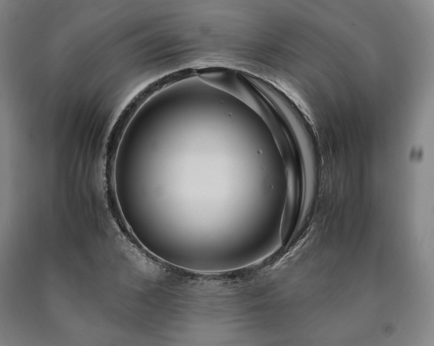X0000090900976200707301409
