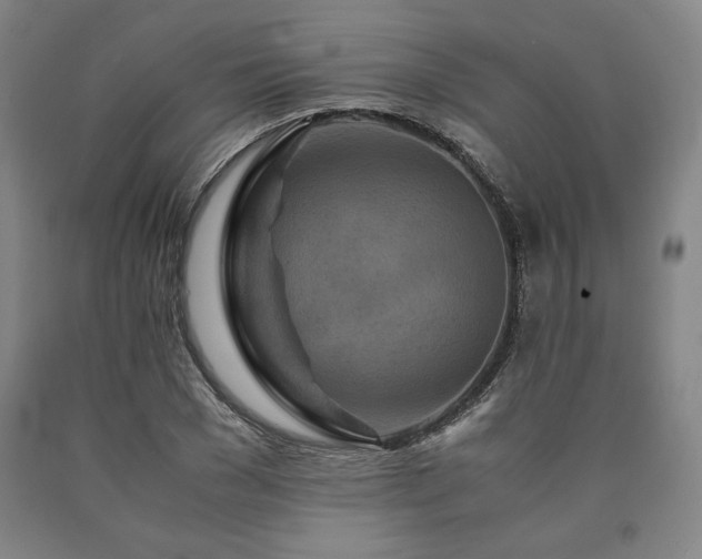 X0000090900977200707301409