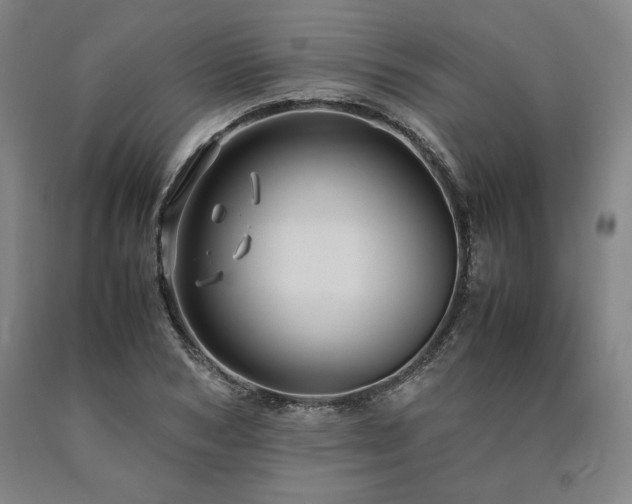X0000090900978200707301409