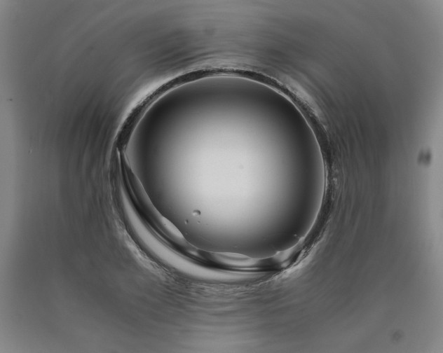 X0000090900981200707301409