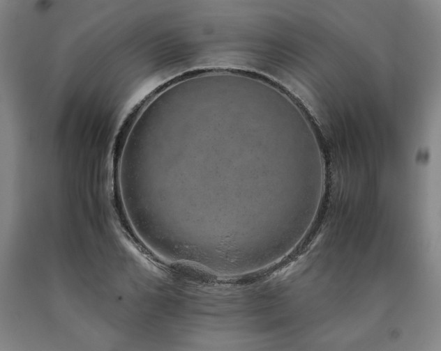 X0000090900982200707301409