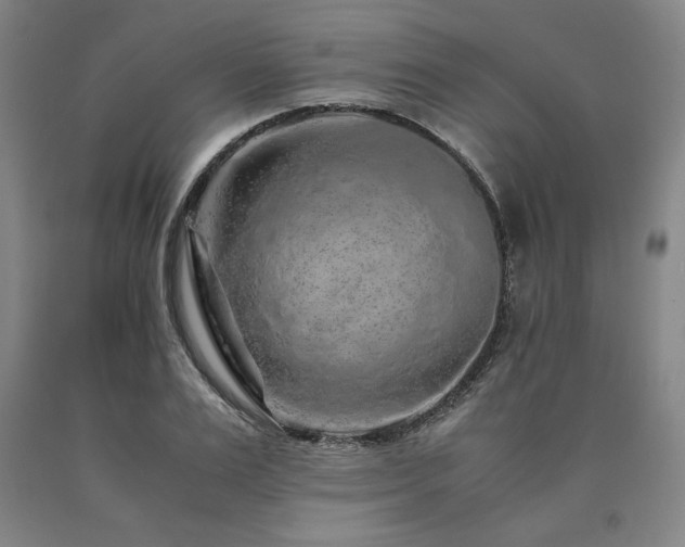 X0000090900983200707301409