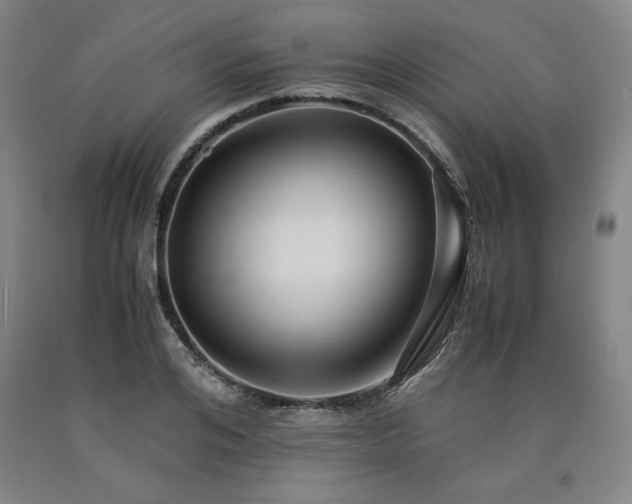 X0000090900984200707301409