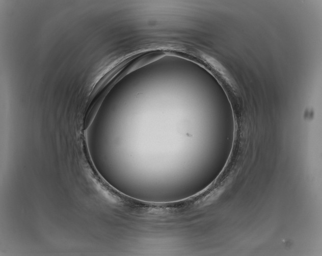 X0000090900985200707301409