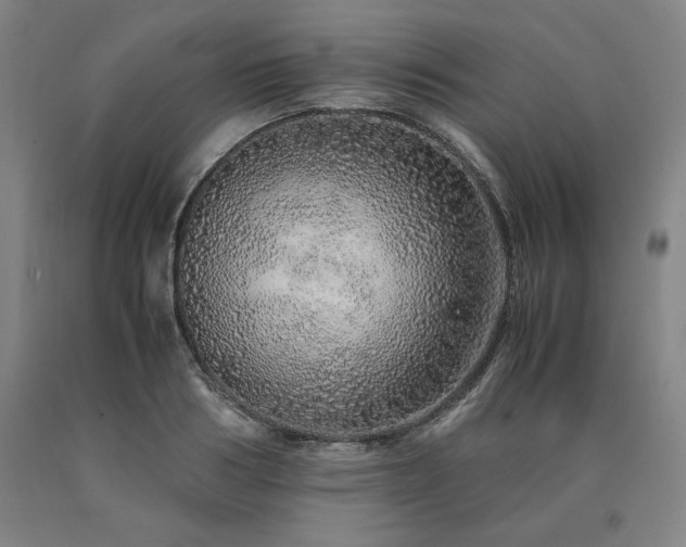 X0000090900986200707301409