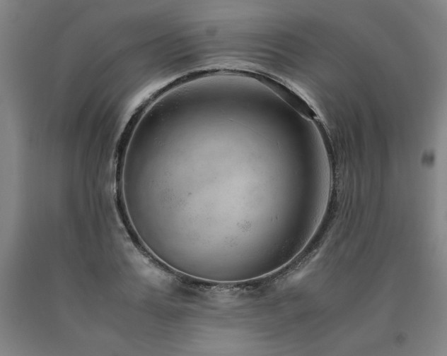 X0000090900987200707301409