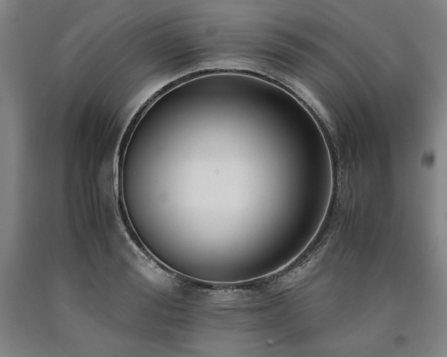 X0000090900988200707301409