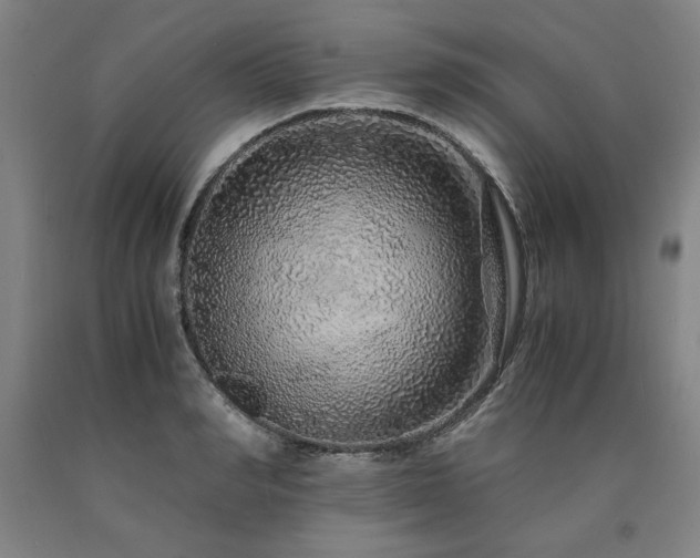 X0000090900990200707301409