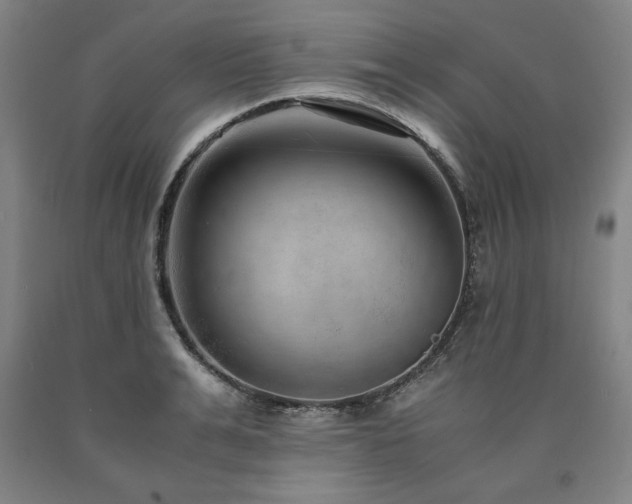 X0000090900991200707301409